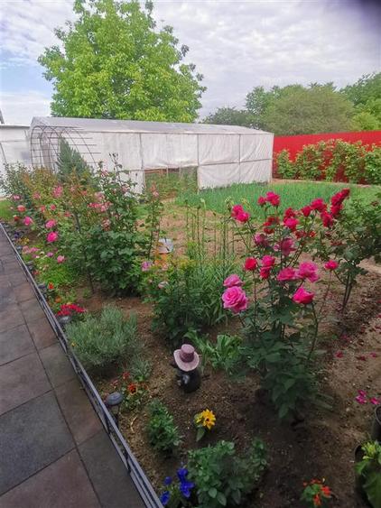 Casa tip parter zona Izvorul Dulce com. Merei - 5