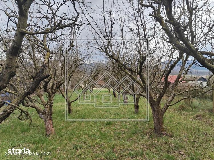 Teren intravilan si casa cu livada in Sacel - pretabil investitii - 2