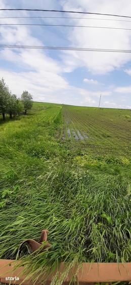 Teren de 13100 mp, în Vornicenii Mici