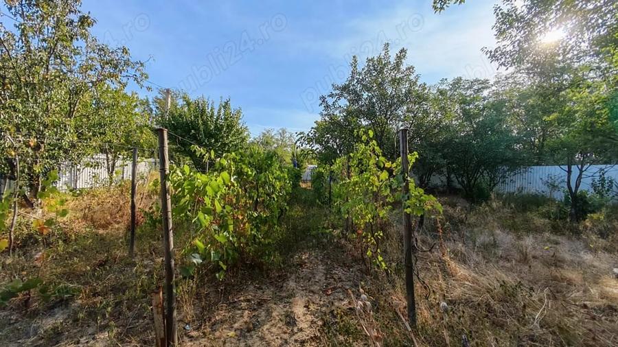 Teren de 1030 mp, în Chiroiu-Pământeni