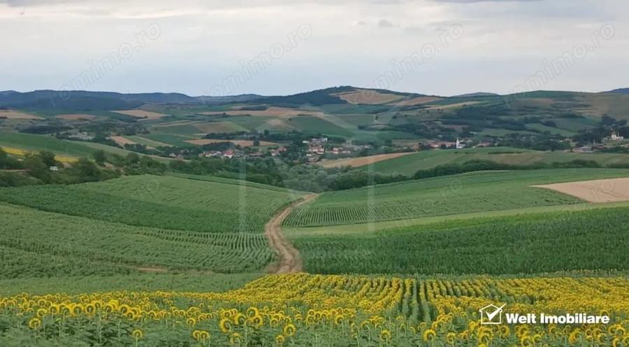 Casă cu Teren 7000 Mp în Cămărașu
