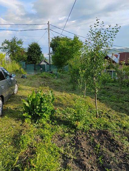 Teren de 535 mp, în Central