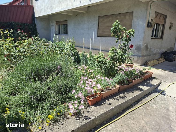 Apartament cu 4 camere, mobilat în Central