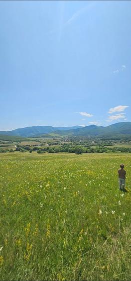 Teren intravilan Tocile Sibiu - 1