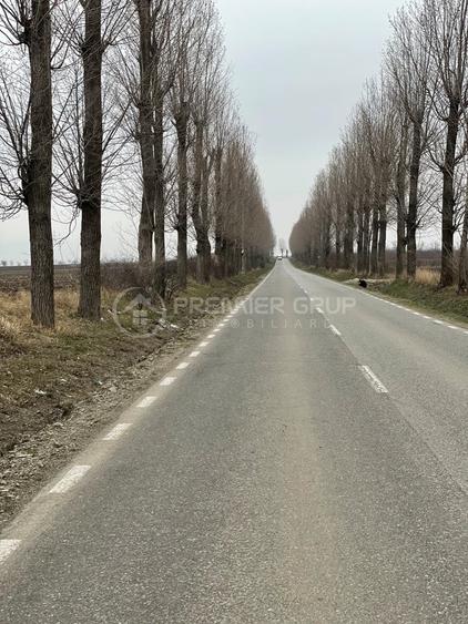 Teren agricol extravilan de 20000 mp, în Miroslava