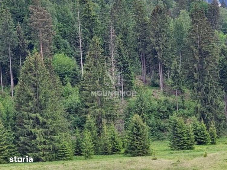 Teren de 4698 mp, în Noua