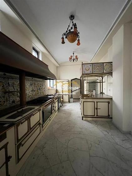 Vila 20 camere Dorobanti || Guvern || Gradina - 14