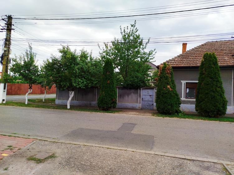 Casa de vanzare in Gradiste - 6