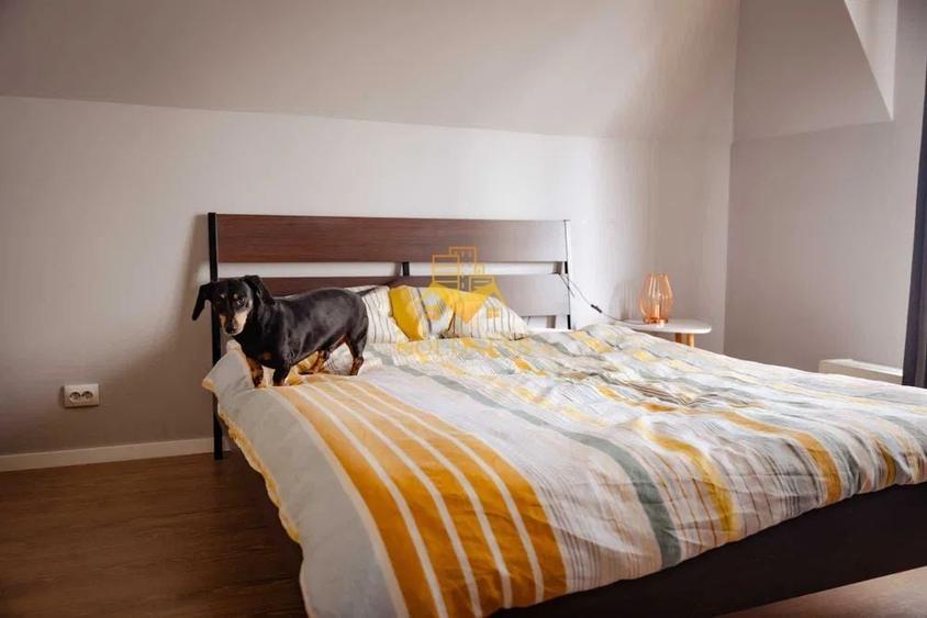 3 camere open space, parcare, Calea Turzii, Europa, Pet Friendly - 6