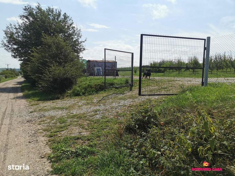 Teren intravilan de vanzare Daia, Sibiu 665 mp - 3