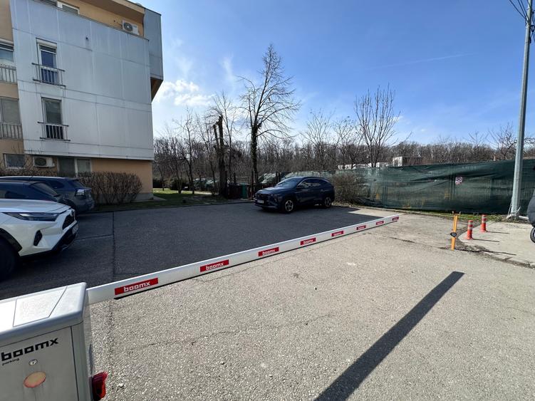 Parter cu vedere la padure - 2