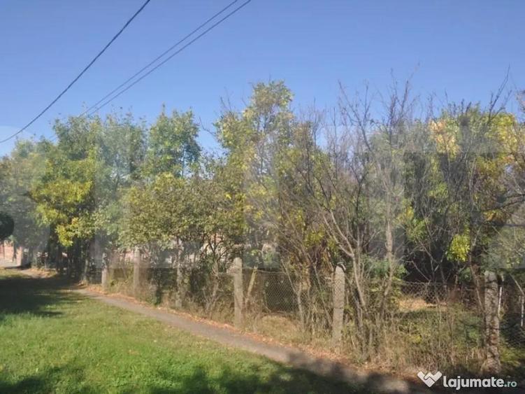 Vanzare Casa / Vila Giroc / Fratelia - 4