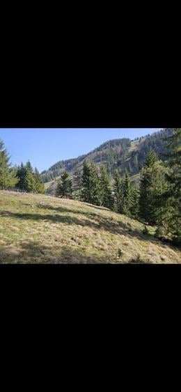 Teren de vanzare partial intravilan in Bucovina Pojorata Transrarau - 2