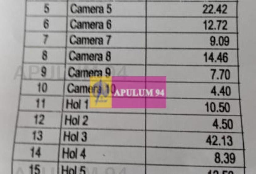 Vila P+1+pod- Parcul Ioanid - 12