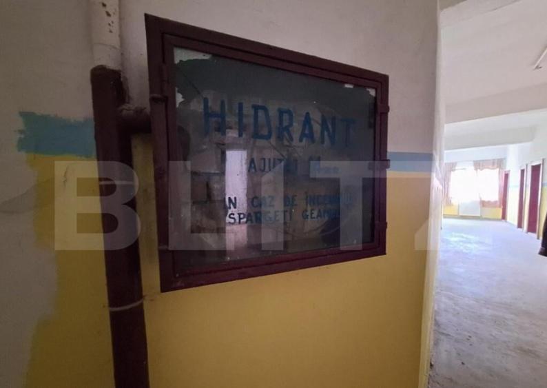 Proprietate de cazare, spatii comerciale, Lugoj - 14