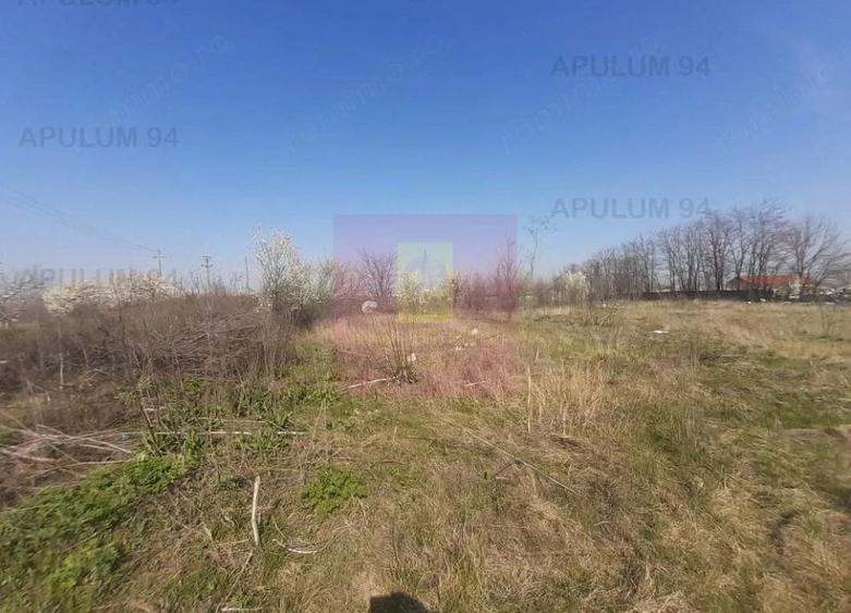 Teren de 4800 mp, în Glina