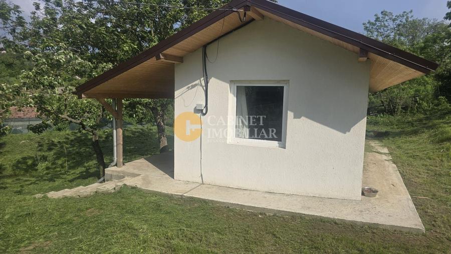 Oază de liniște și natură! Casă  cu 2 heleșteie și pârâu în curte – Probota - 12