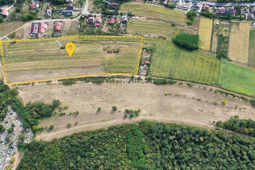 Teren Construcții intravilan de 8100 mp, în Unirii