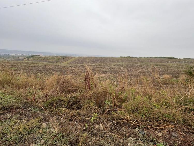 35euro/mp! Valea Lupului! Teren intravilan,28m l,oportunitate investitie! - 3