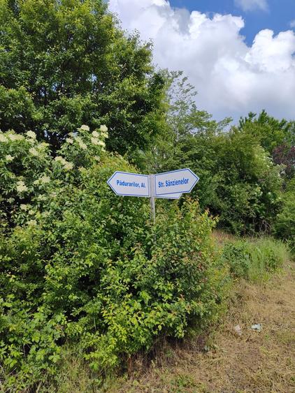 Teren de vanzare aproape de Muzeul Satului Banatean - Giarmata Vii - 4