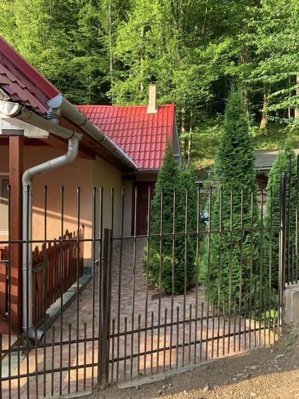 Casa Padurea Neagra - 4