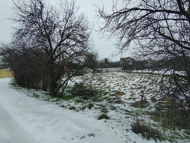 Teren 640 mp, Mischii, front 45,78 m - 3