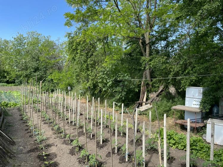 Casa batraneasca + Teren 1430mp, sat Mihai Viteazu, com. V.Tepes, jud. Calarasi - 2