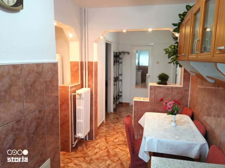 De inchiriat apartament cu 2 camere, Dambu Pietros, Parangului - 8