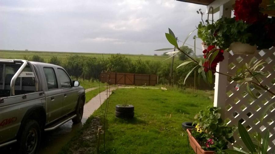 Casa Adunatii Copaceni, teren 1000 mp - 5