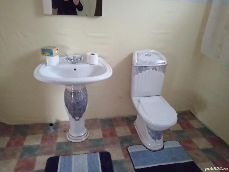 Vand casa la ro?u in Cracaoani Mitocul Balan Neam? - 1