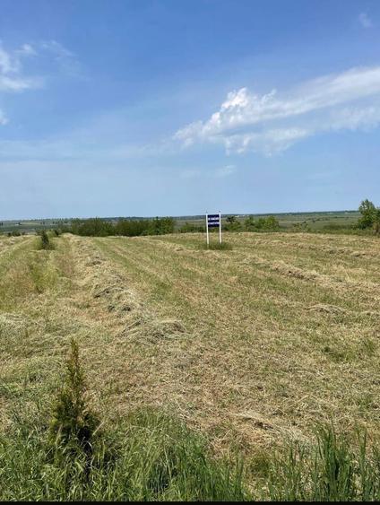 Teren de vanzare - 2