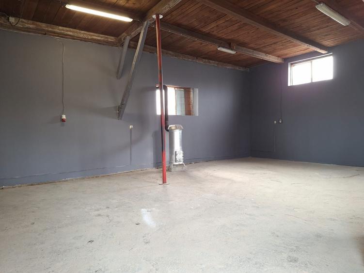 Inchiriez spatiu in Turnisor - 6