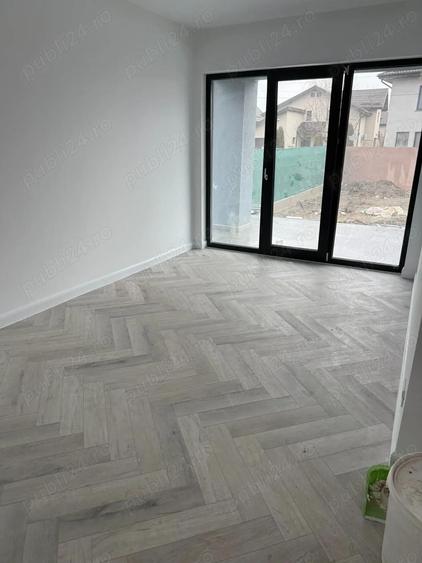 Vila Strejnic, doar 195000 euro - 2