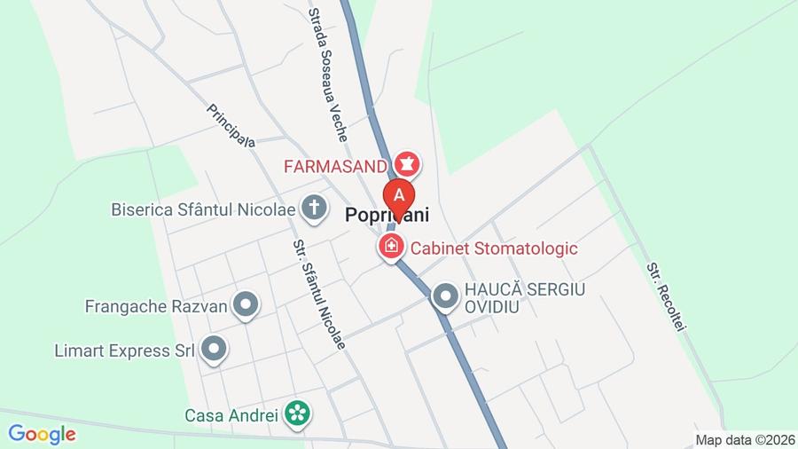 Vand casa Popricani 2025 la gri - 17