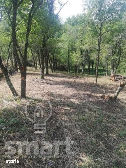 Teren de 5400 mp, în Sava