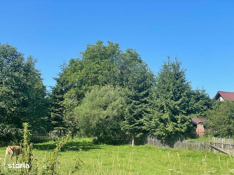 Teren Moieciu de Jos - 2