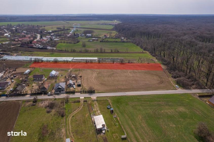 Nuci - Balta Neagra, Lot 3900 Mp, La Padure! - 10