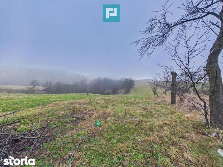 Casa ?i teren 5.000 mp in Poiana-Ta?ad, Bihor - 9