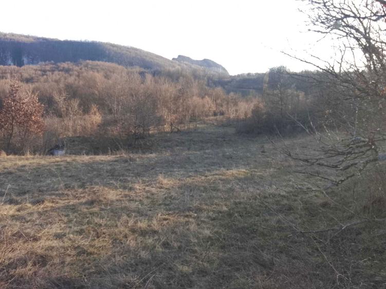 Teren pentru Casa de Vacanta - 1