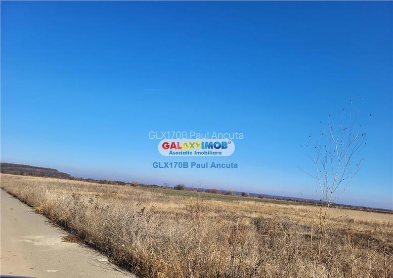 Teren Corbeanca str Magnoliei 13200 mp cu PUZ dezmembrat lot