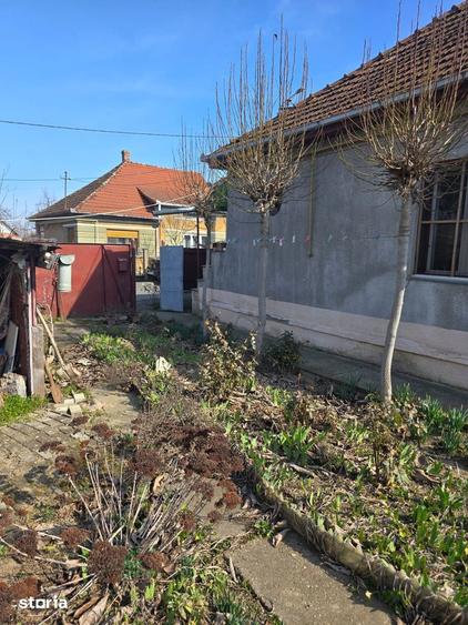 Casa zona str. Botizului - 4