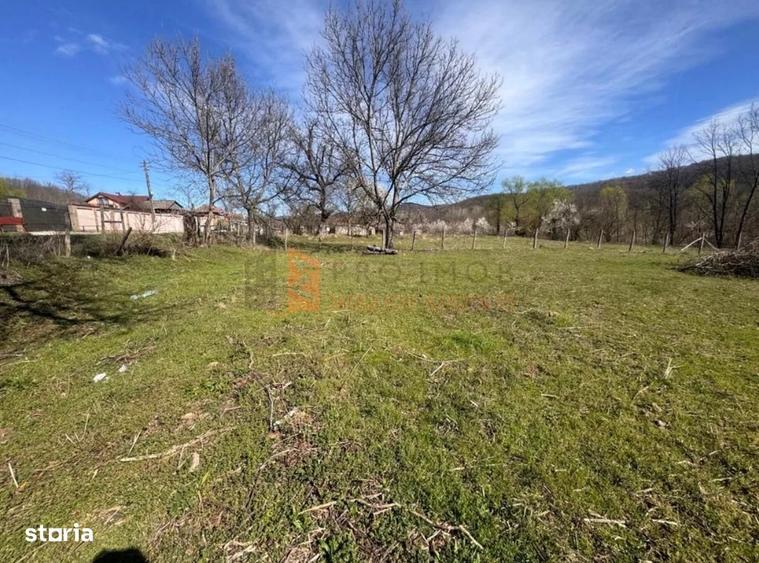 Teren intravilan zona Tisau - 5