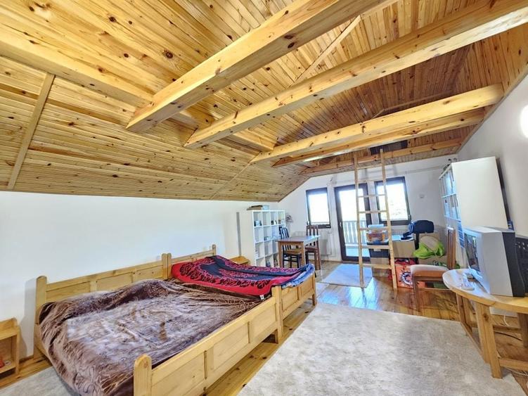 Vila superba de vanzare in Vintila Voda, Buzau D+P+1 si anexe - 29