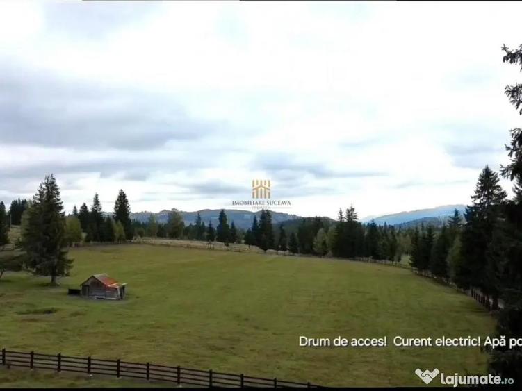 Teren 2804 mp, la munte! In Bucovina Fundu Moldovei! - 4