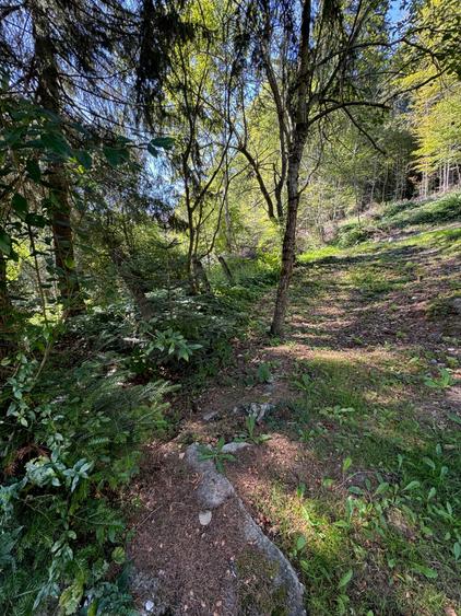 Teren zona centrala Predeal - 1