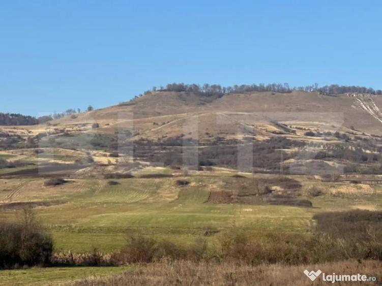 5 terenuri extravilane agricole cu suprafata totala de 13.37 - 5