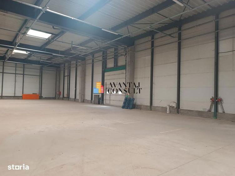 Inchirieri Hala +birouri 2500 mp Militari A1 - 8