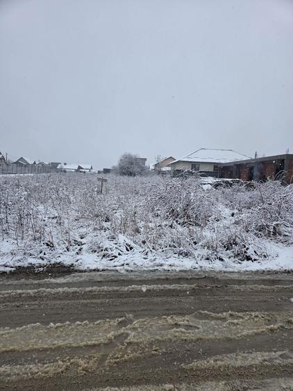 Vand teren prunilor - 5