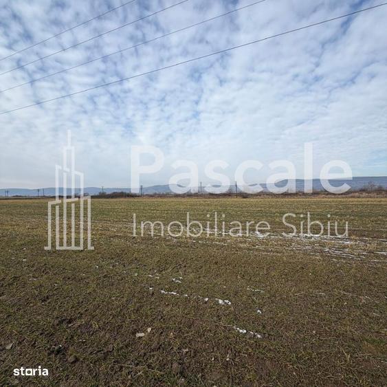 Teren De VanzareDn1, Intre Avrig Si Brasov | Potential Maxim - 3
