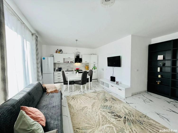 Proprietar vad casa Mosnita Veche tip SAD - 2